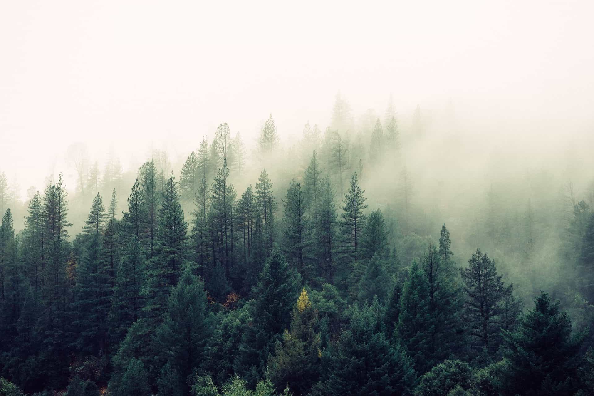 Care for nature goes hand in hand with care for people