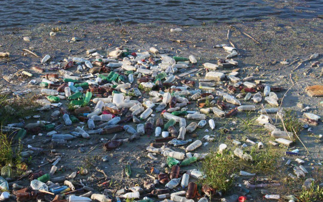 Consumerism and the Environment