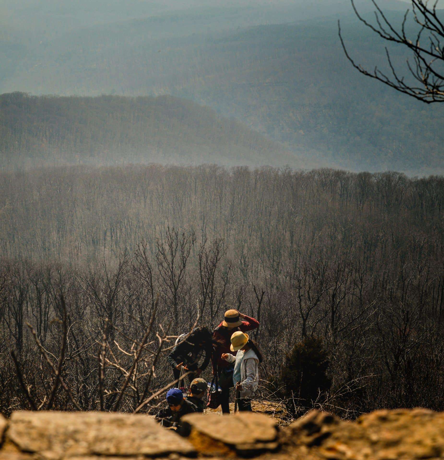 Family ecology, from a Catholic perspective, means family and ecology are intimately linked.
