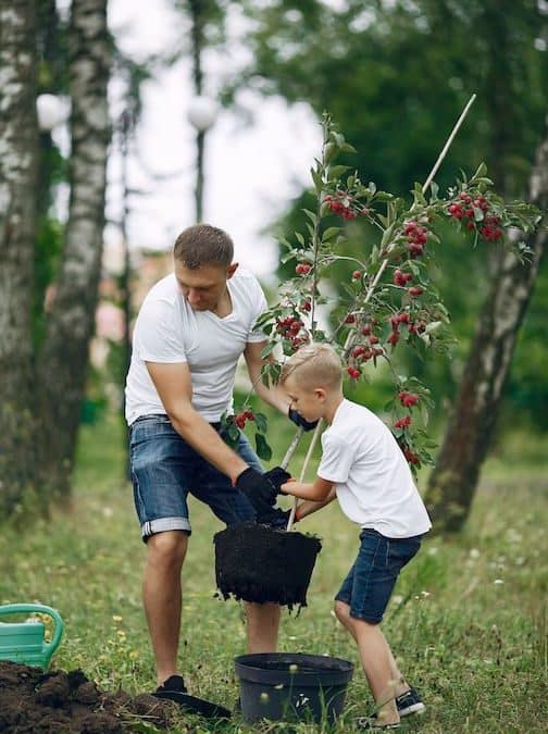 Top Laudato Si Quotes on Environment