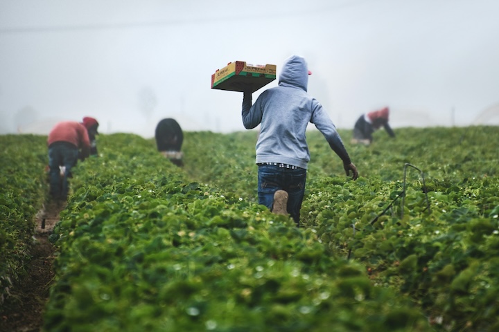 Immigrants have responsibilities to the country that receives them.